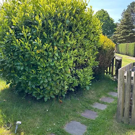 Feriehus Strandhaus Altglowe - Perfekt Fuer 8 Gaeste! #ferienhausaltglowe #monteurhaus#handwerkerhaus# *