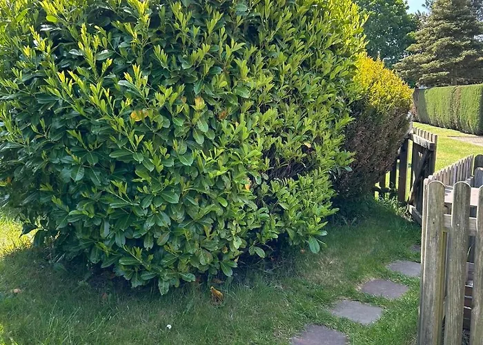 בית נופש Strandhaus Altglowe - Perfekt Fuer 8 Gaeste! #ferienhausaltglowe #monteurhaus#handwerkerhaus# *